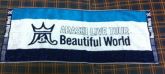 Beautiful World - Toalha de Rosto