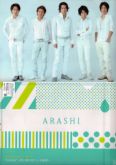 10-11 Scene Tour  - Clearfile Arashi
